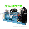 generator set,diesel engine